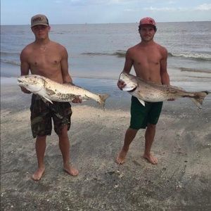 Meet your Posher, Kenny